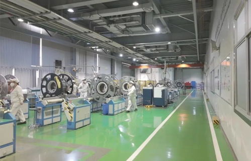 以教育之強譜寫高質量發展新篇 浙江大學勇擔使命，引領軟件研發與銷售創新實踐