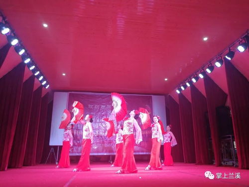 放歌新時代，文化進萬家——記2019新春文化系列活動與蘭溪水鳥藝術團的基層之旅